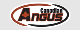 Canadian Angus